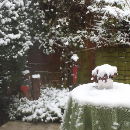 Gaestehaus Niemerg 3*