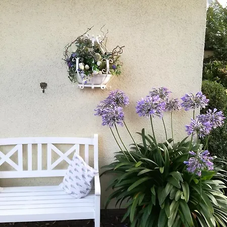 Gaestehaus Niemerg Affittacamere Warendorf